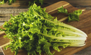 Endive: Everything You Need to Know About Growing and Cooking This Versatile Green 